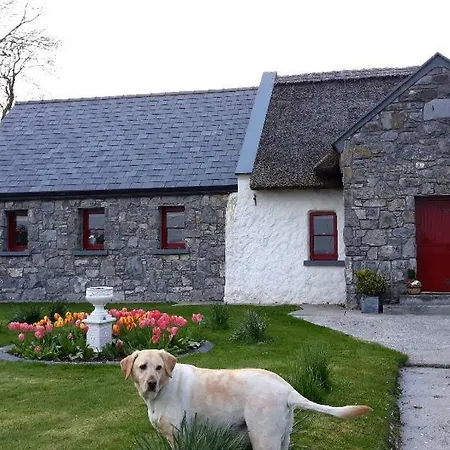 The Thatched Bed and breakfast Claregalway