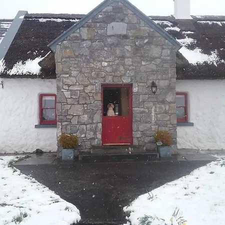 The Thatched