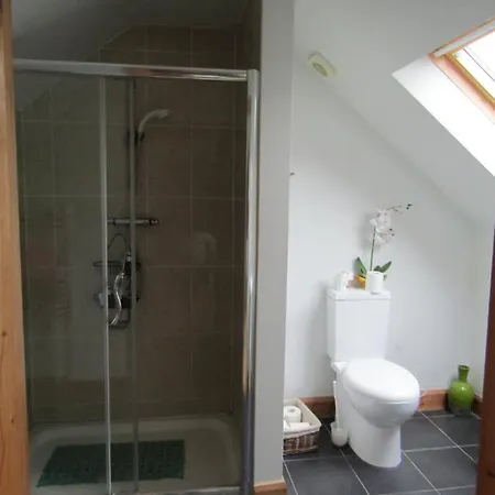 The Thatched كلير جالاوي