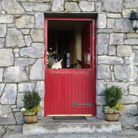 The Thatched Claregalway