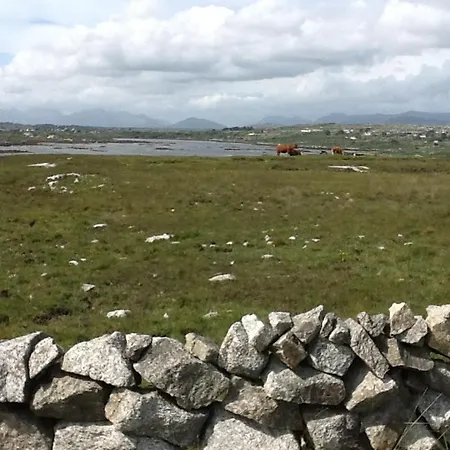 The Thatched Bed & Breakfast Claregalway