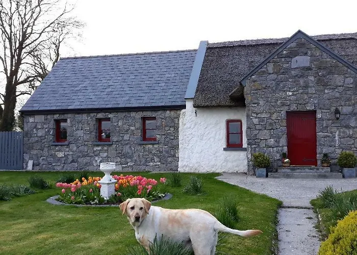 The Thatched Couette-café Claregalway