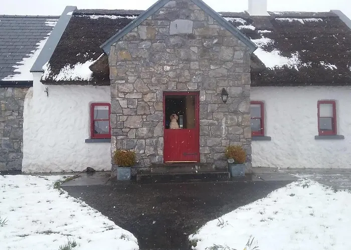 The Thatched