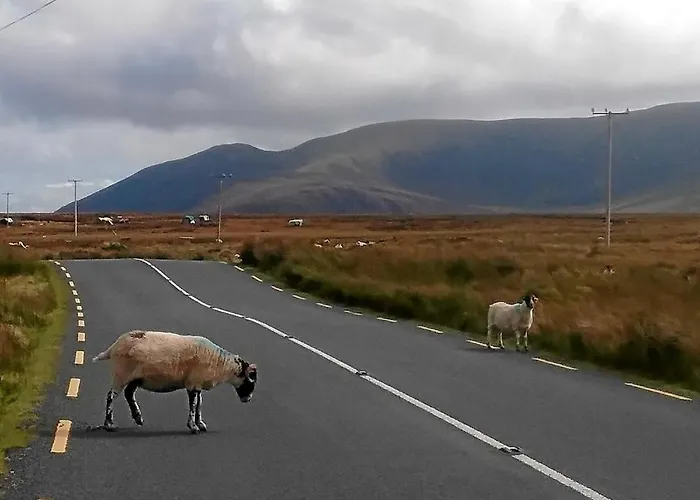 The Thatched Bed & Breakfast *