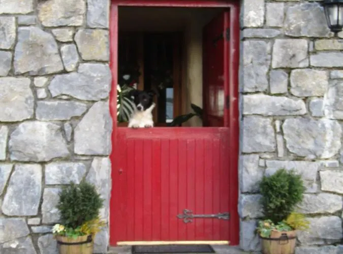 The Thatched Claregalway