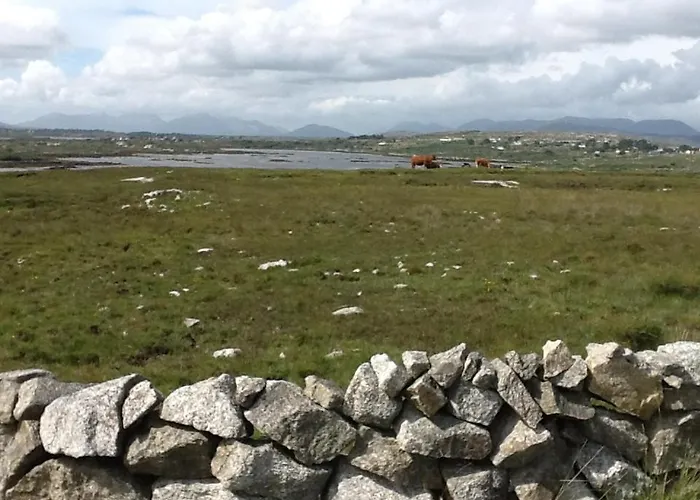 The Thatched Couette-café Claregalway